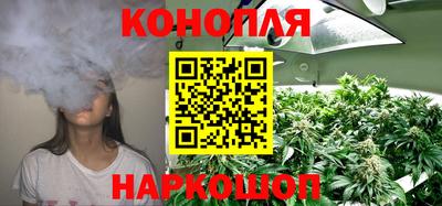 ПСИЛОЦИБИНОВЫЕ ГРИБЫ Бердск